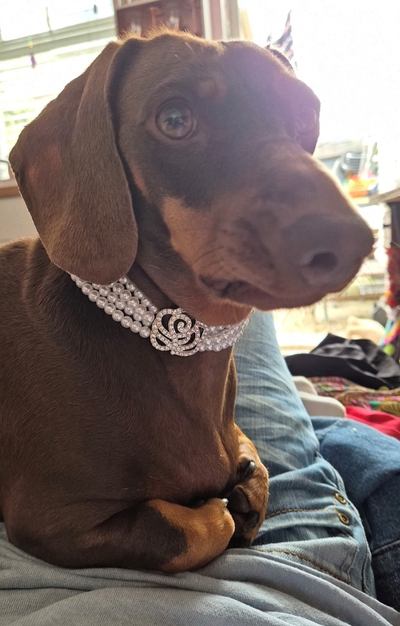 necklace 