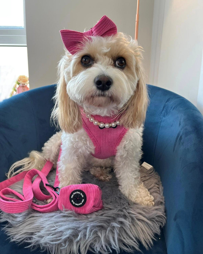Pink Cord 