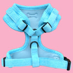 The blue cord