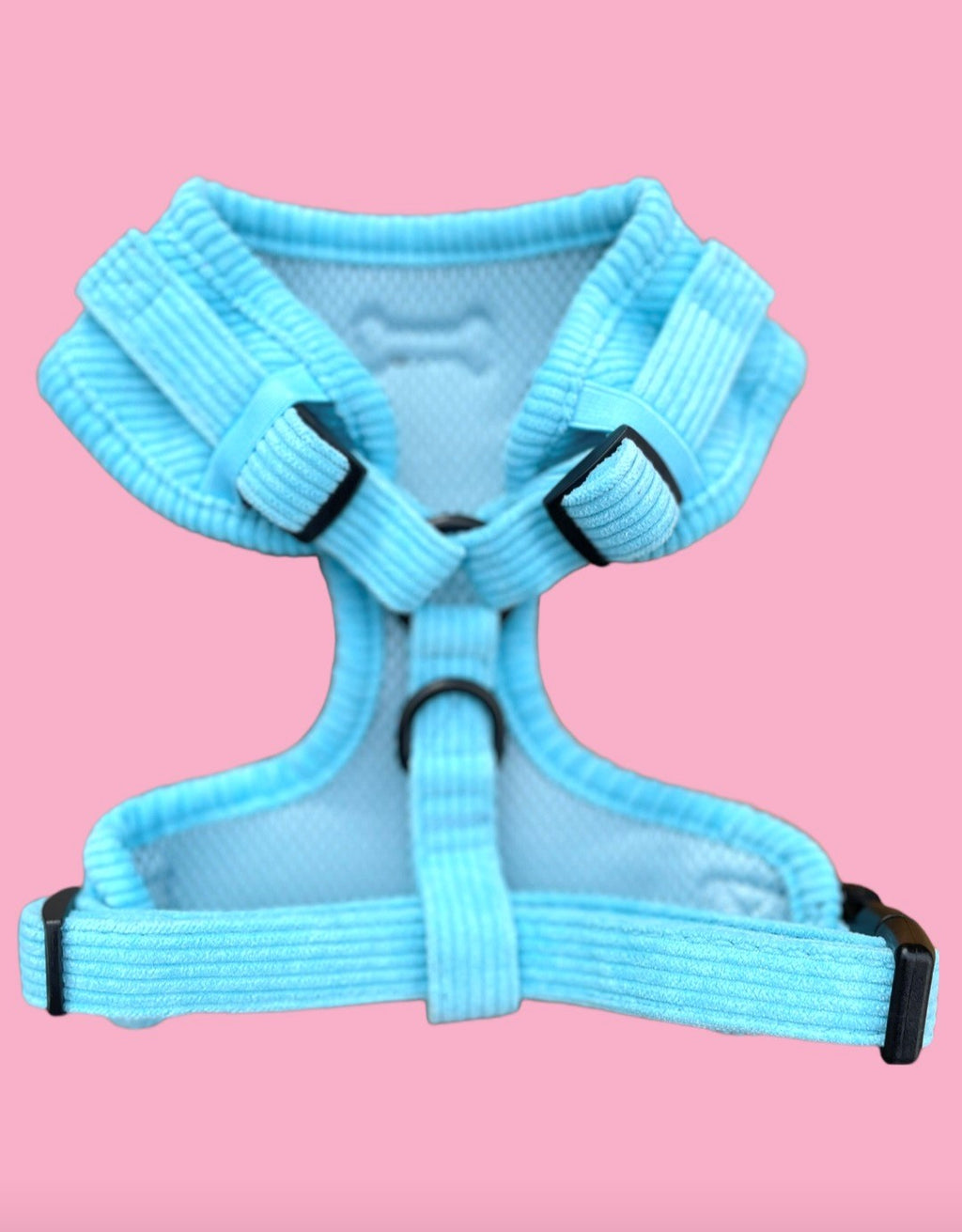 The blue cord