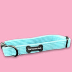 The blue cord collar