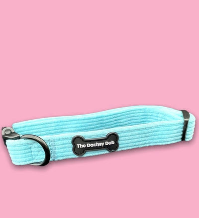 The blue cord collar
