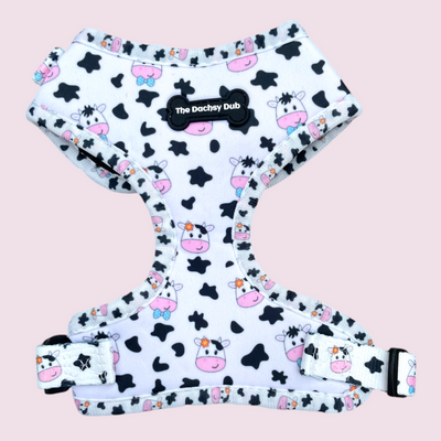 The one with the cows harness