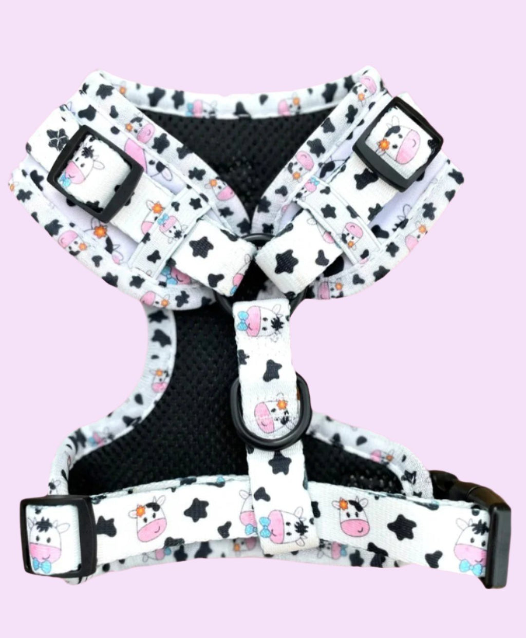 The one with the cows harness