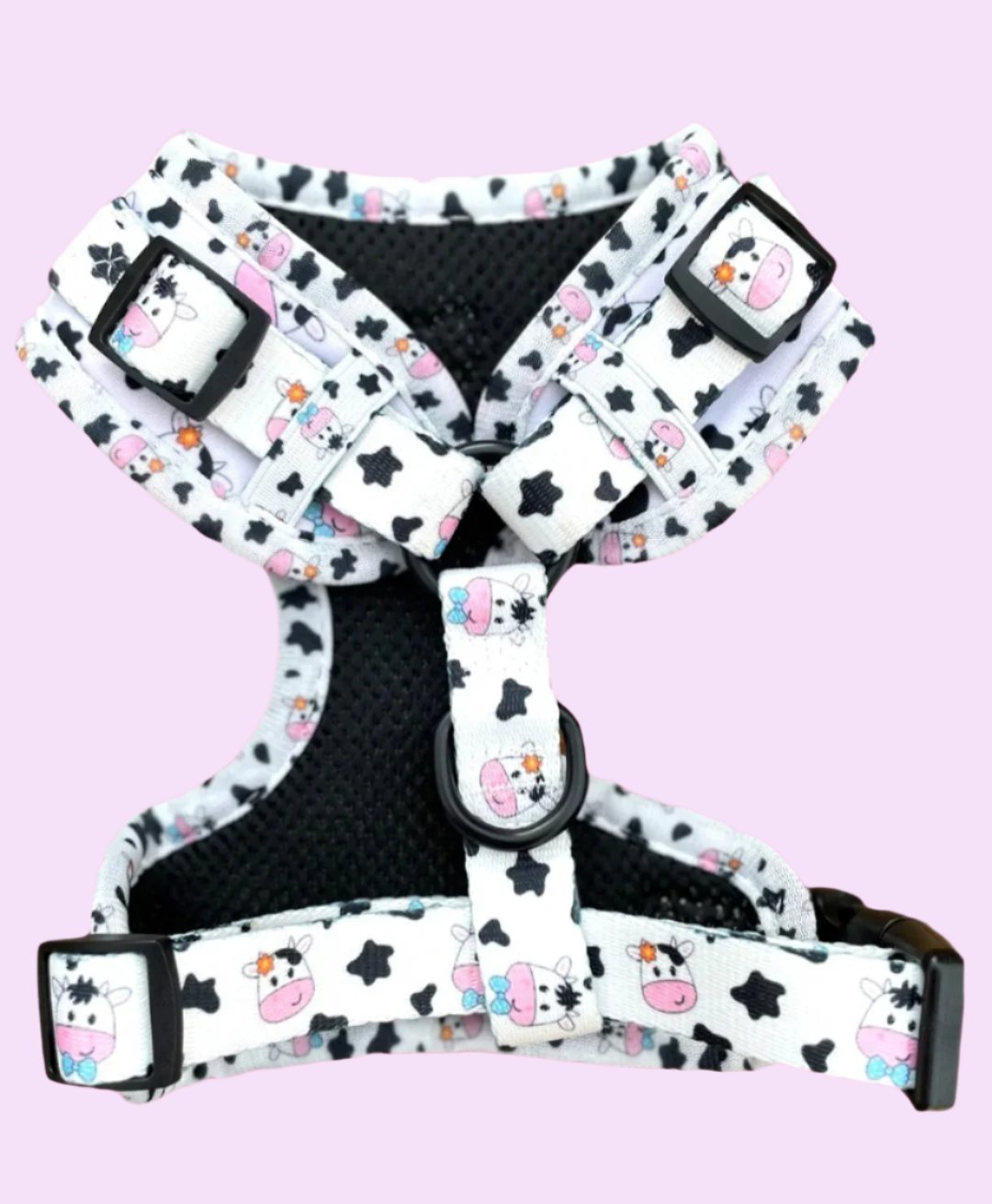 The one with the cows harness