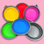 Portable dog bowls