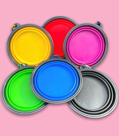 Portable dog bowls