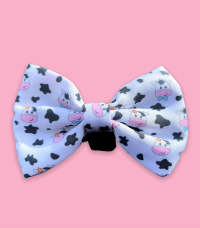 The one with the cows bow tie