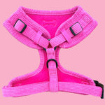 The pink cord